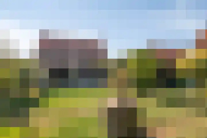 Burg. Verplankeplein 12 Biervliet thumbnail 29