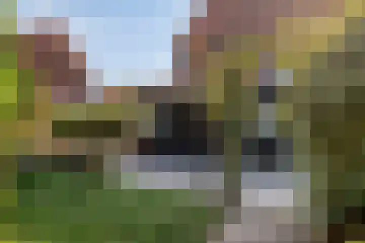 Burg. Verplankeplein 12 Biervliet thumbnail 30