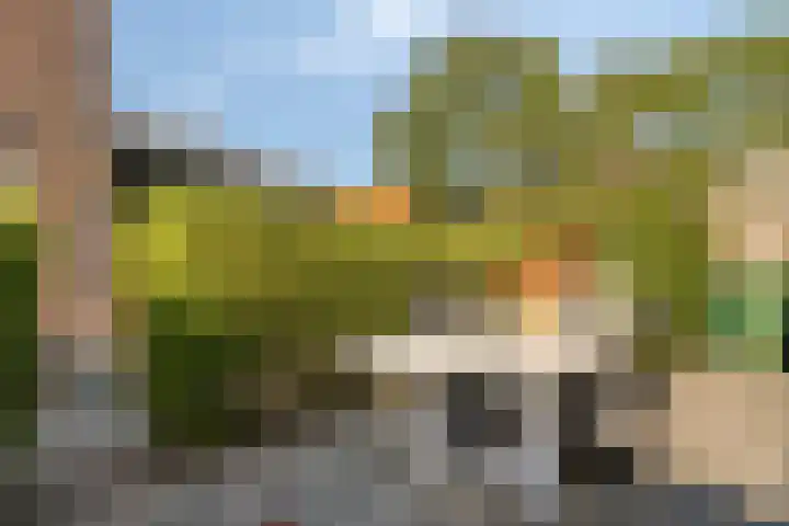 Burg. Verplankeplein 12 Biervliet thumbnail 32