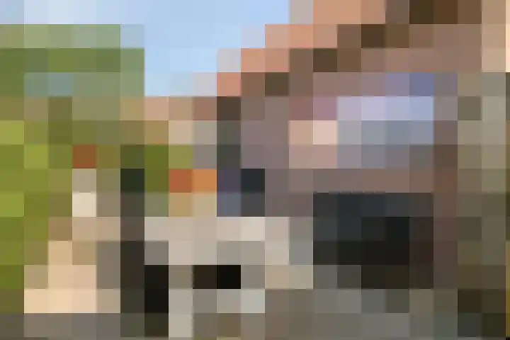 Burg. Verplankeplein 12 Biervliet thumbnail 33