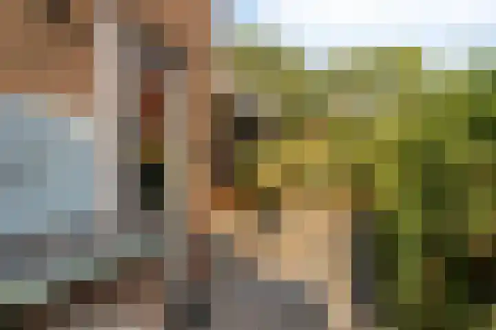 Burg. Verplankeplein 12 Biervliet thumbnail 34