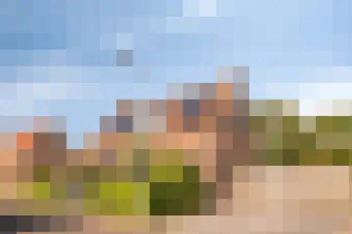 Burg. Verplankeplein 12 Biervliet thumbnail 36