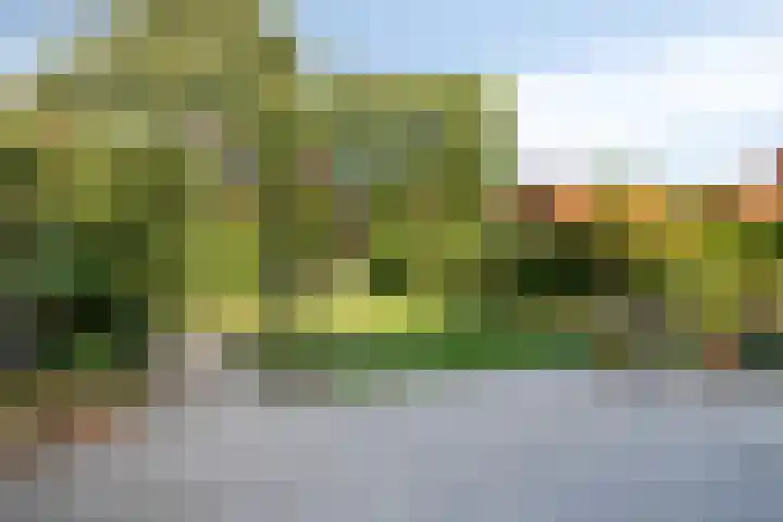 Burg. Verplankeplein 12 Biervliet thumbnail 4
