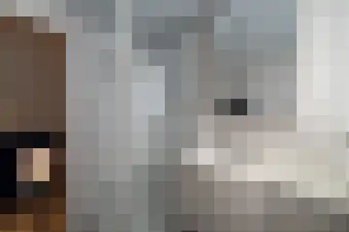 Burg. Verplankeplein 8 Biervliet thumbnail 18