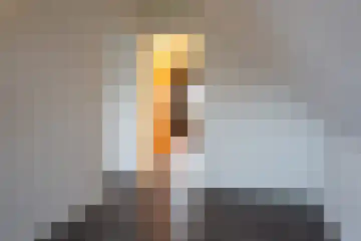 Burg. Verplankeplein 8 Biervliet thumbnail 23