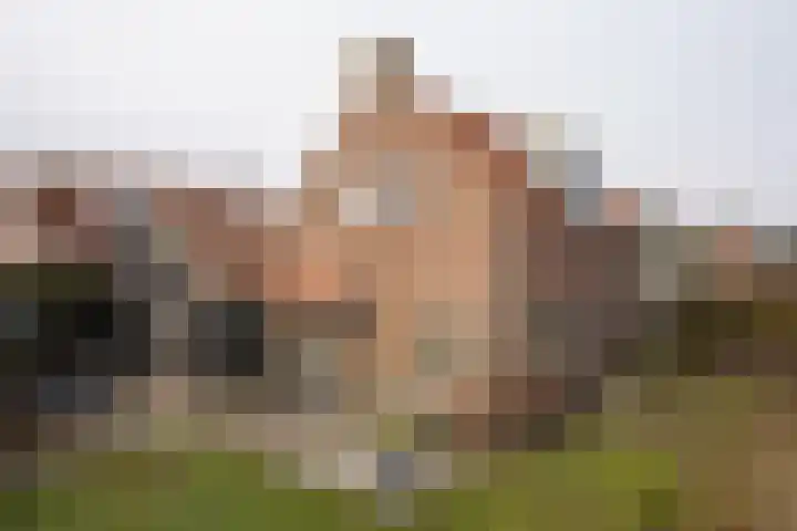 Burg. Verplankeplein 8 Biervliet thumbnail 27