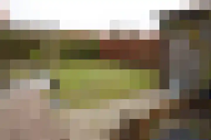 Burg. Verplankeplein 8 Biervliet thumbnail 29