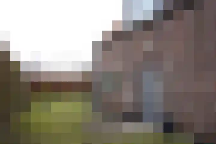 Burg. Verplankeplein 8 Biervliet thumbnail 30