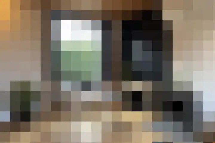 Burg. Verplankeplein 8 Biervliet thumbnail 5