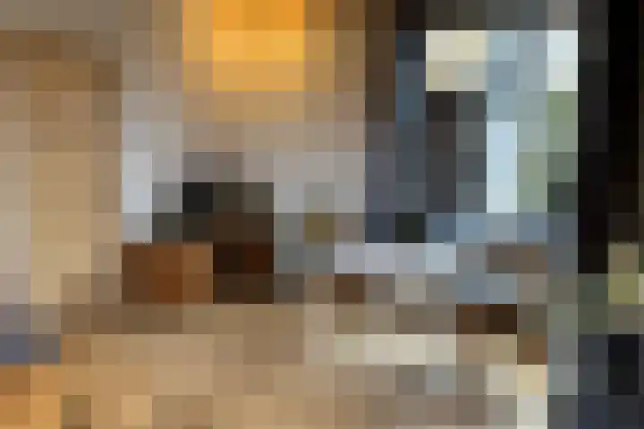 Burg. Verplankeplein 8 Biervliet thumbnail 6