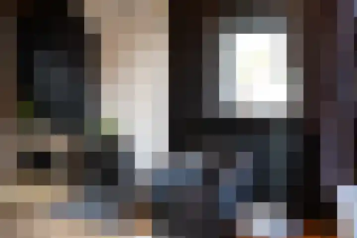 Burg. Verplankeplein 8 Biervliet thumbnail 7