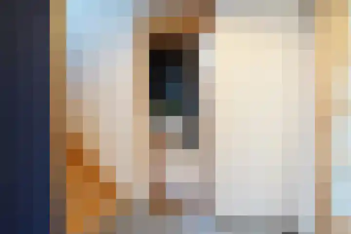 Burg. Verplankeplein 8 Biervliet thumbnail 8