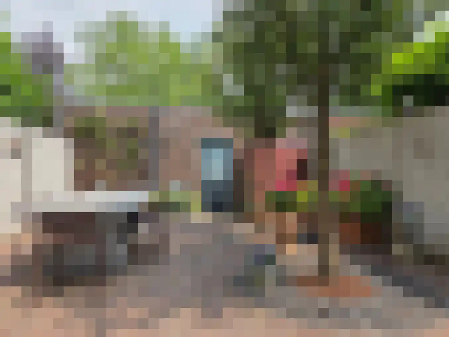 Burg. Verwielstraat 25 Oisterwijk thumbnail 14