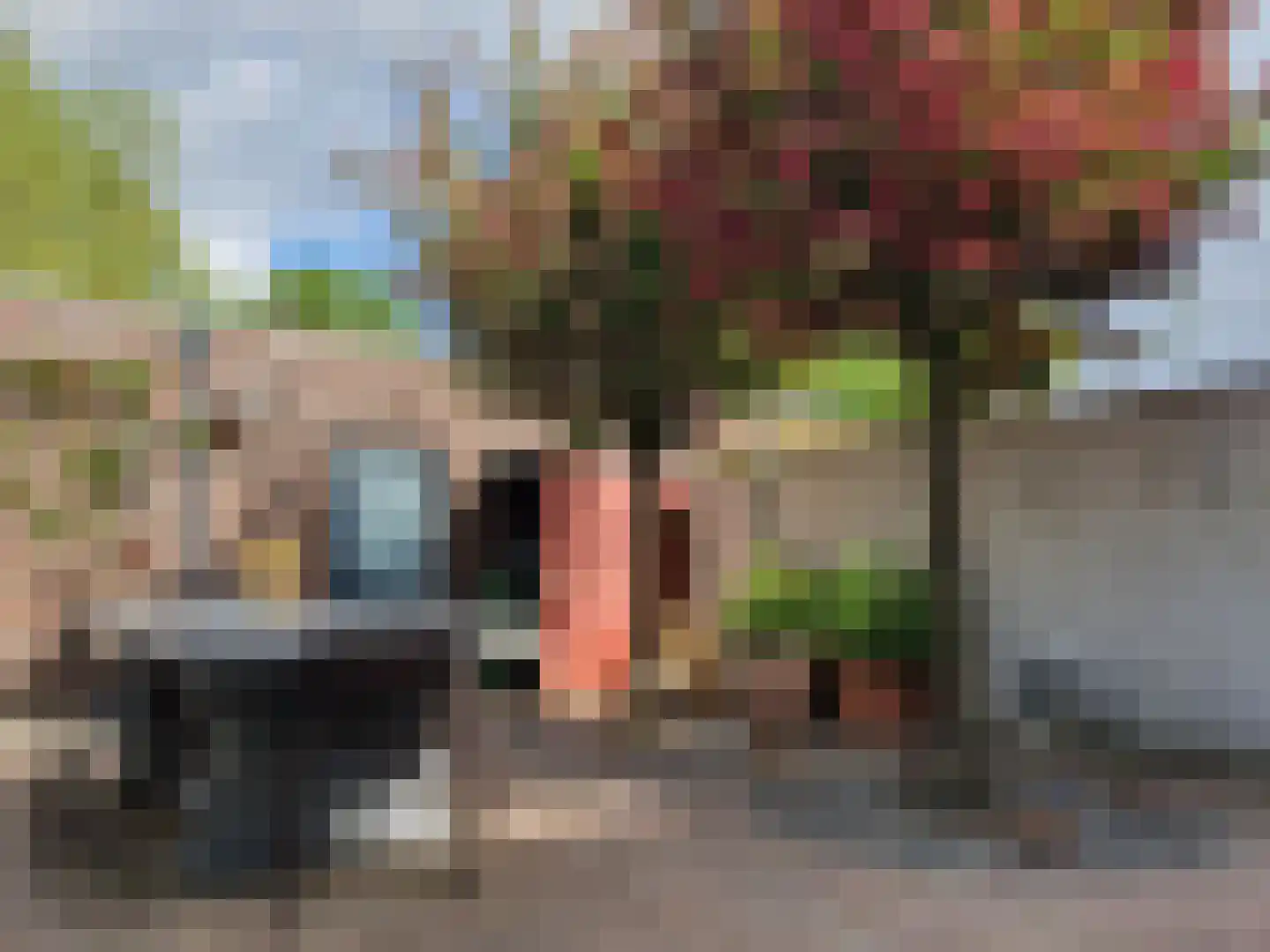 Burg. Verwielstraat 25 Oisterwijk thumbnail 18