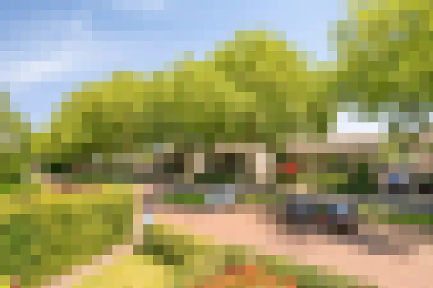 Burg. Verwielstraat 58 Oisterwijk thumbnail 18