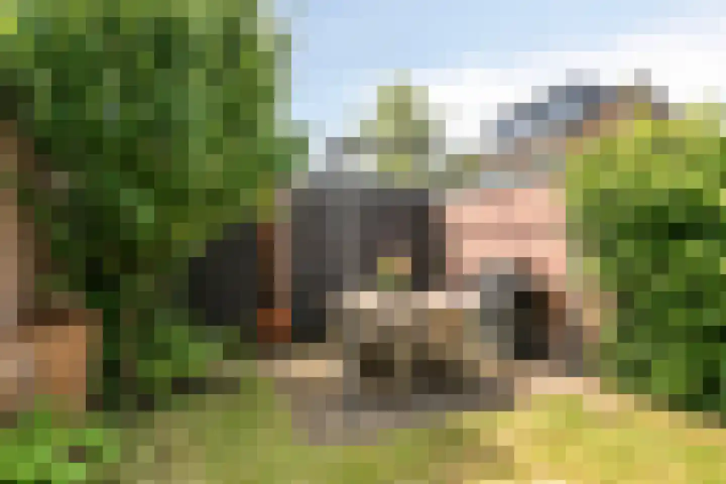 Burg. Verwielstraat 58 Oisterwijk thumbnail 27