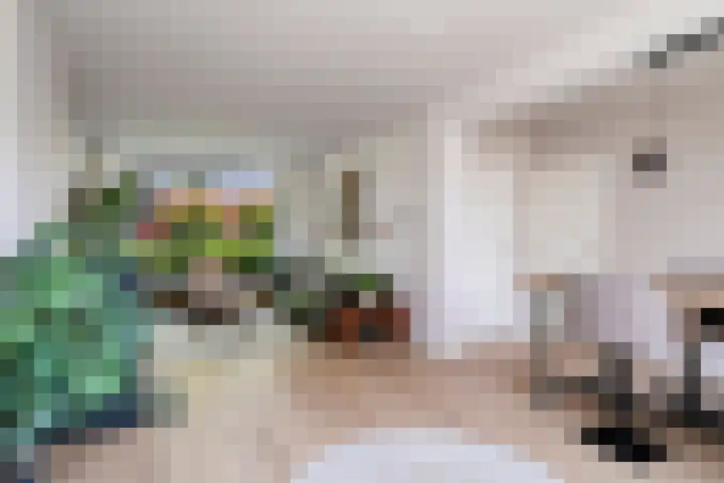 Burg. Verwielstraat 58 Oisterwijk thumbnail 8