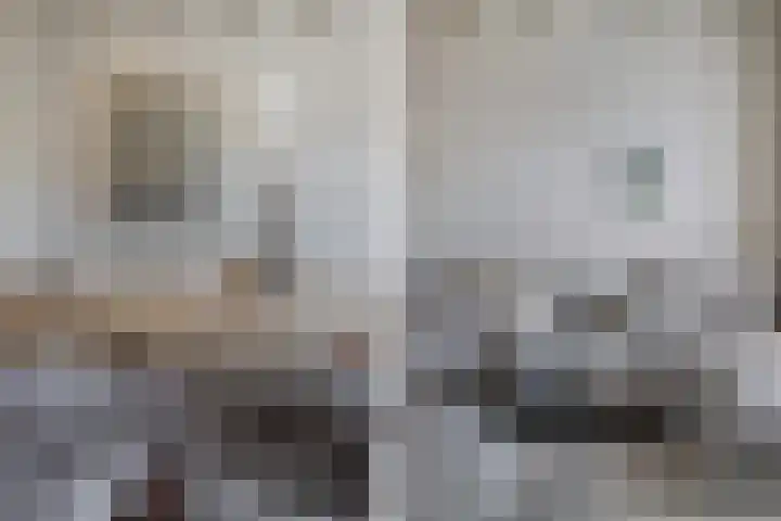 Burg. Verwielstraat 99 Oisterwijk thumbnail 12