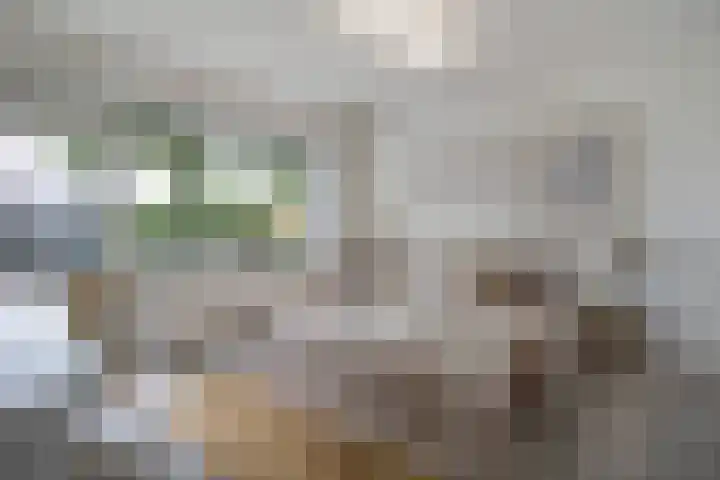 Burg. Verwielstraat 99 Oisterwijk thumbnail 20