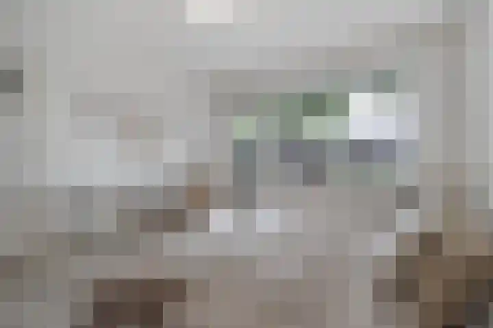 Burg. Verwielstraat 99 Oisterwijk thumbnail 21