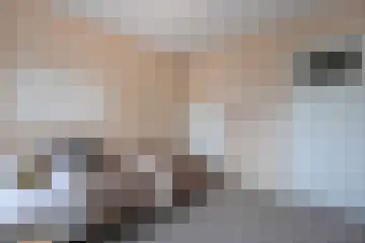 Burg. Verwielstraat 99 Oisterwijk thumbnail 23