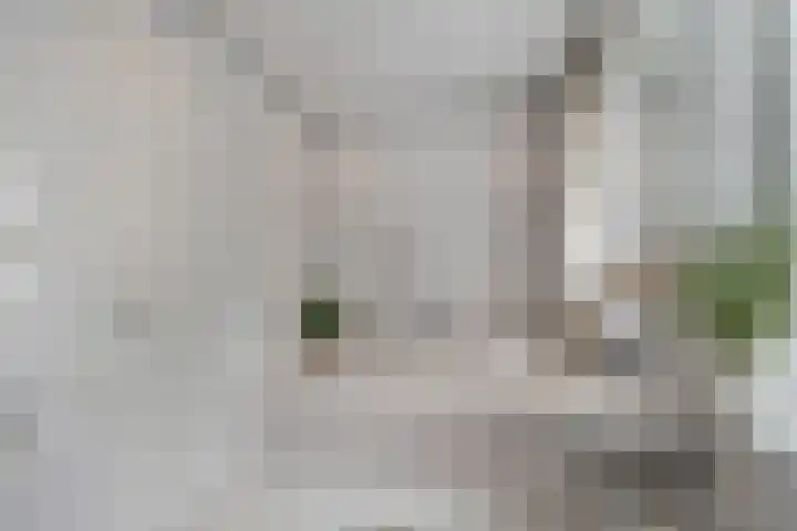 Burg. Verwielstraat 99 Oisterwijk thumbnail 25