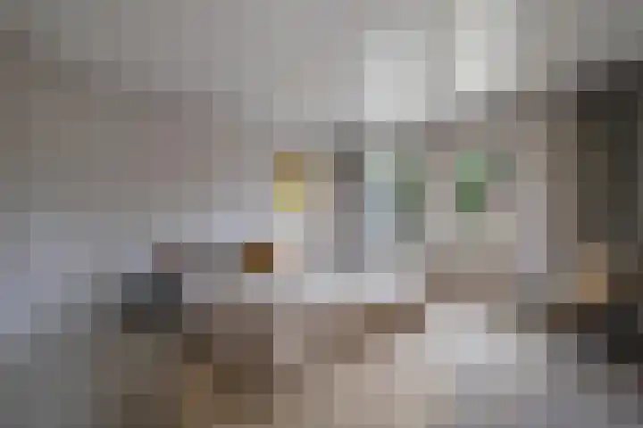 Burg. Verwielstraat 99 Oisterwijk thumbnail 27