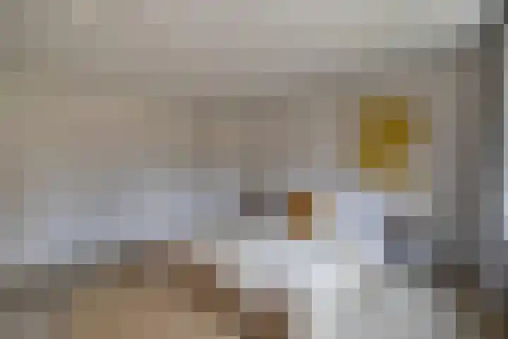 Burg. Verwielstraat 99 Oisterwijk thumbnail 29