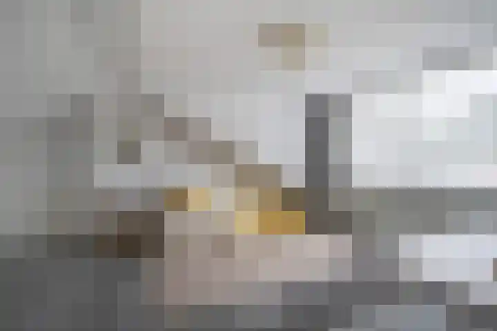 Burg. Verwielstraat 99 Oisterwijk thumbnail 31