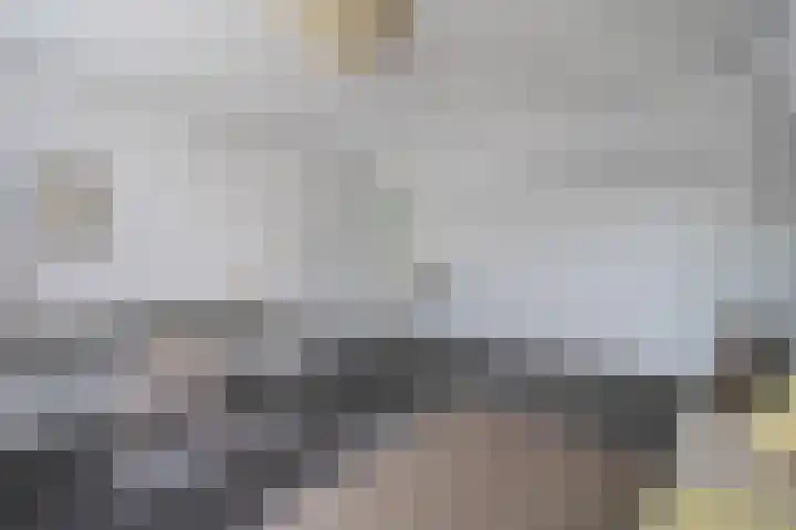 Burg. Verwielstraat 99 Oisterwijk thumbnail 34
