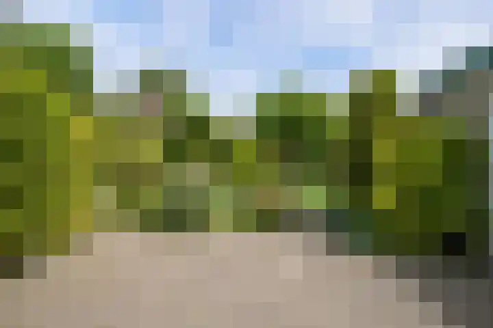 Burg. Verwielstraat 99 Oisterwijk thumbnail 35