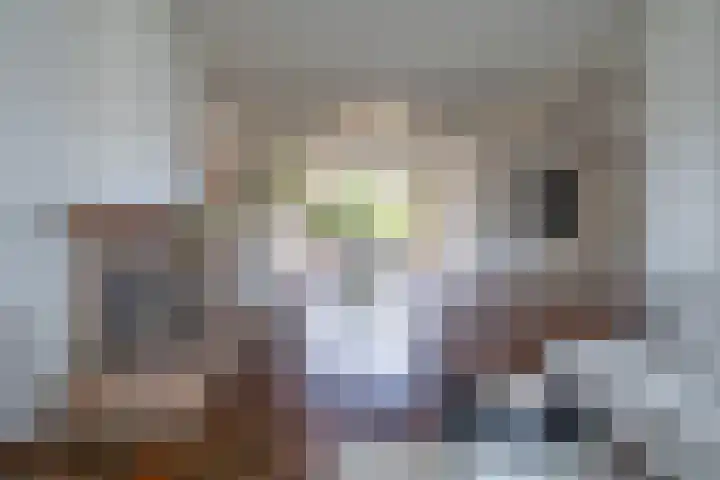 Burg. Verwielstraat 99 Oisterwijk thumbnail 4