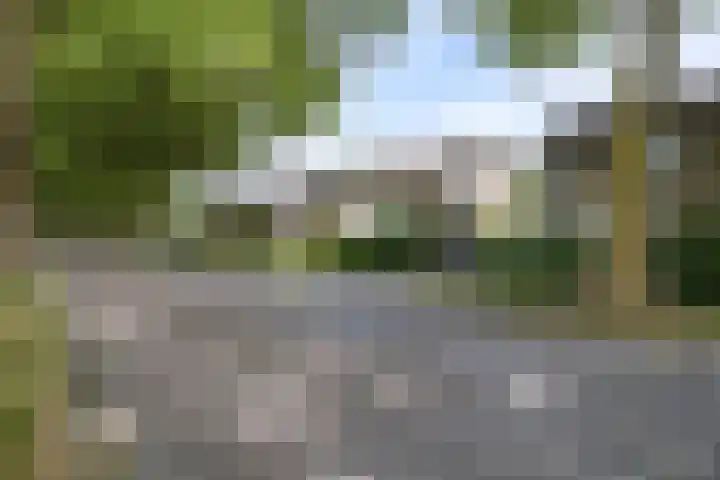 Burg. Verwielstraat 99 Oisterwijk thumbnail 41