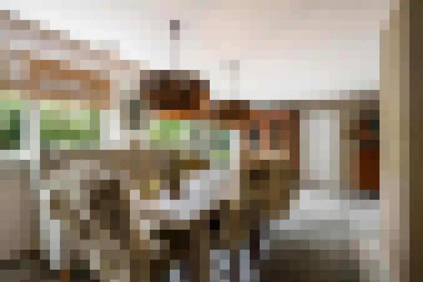 Burg Vogelaarsingel 17 Nieuwerkerk aan den IJssel thumbnail 10