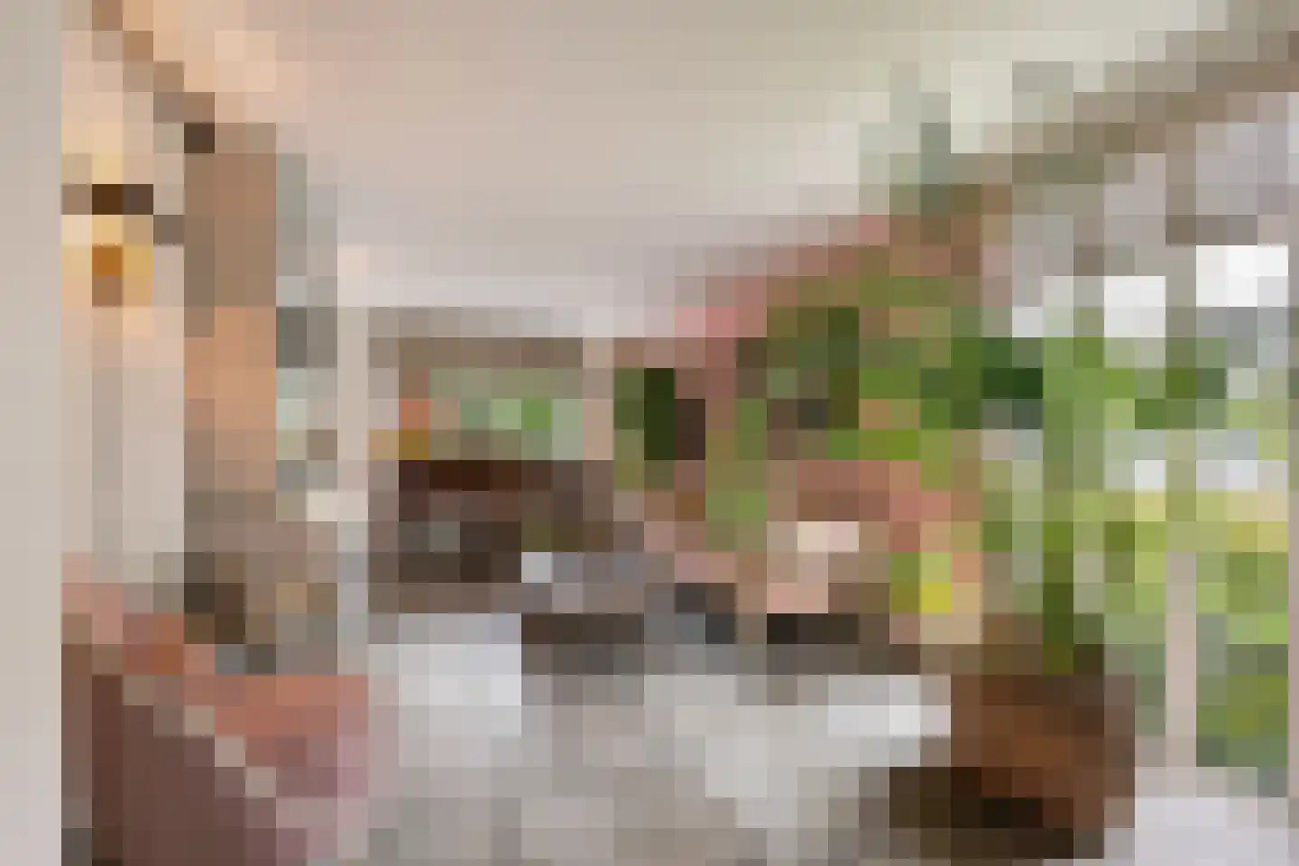 Burg Vogelaarsingel 17 Nieuwerkerk aan den IJssel thumbnail 14