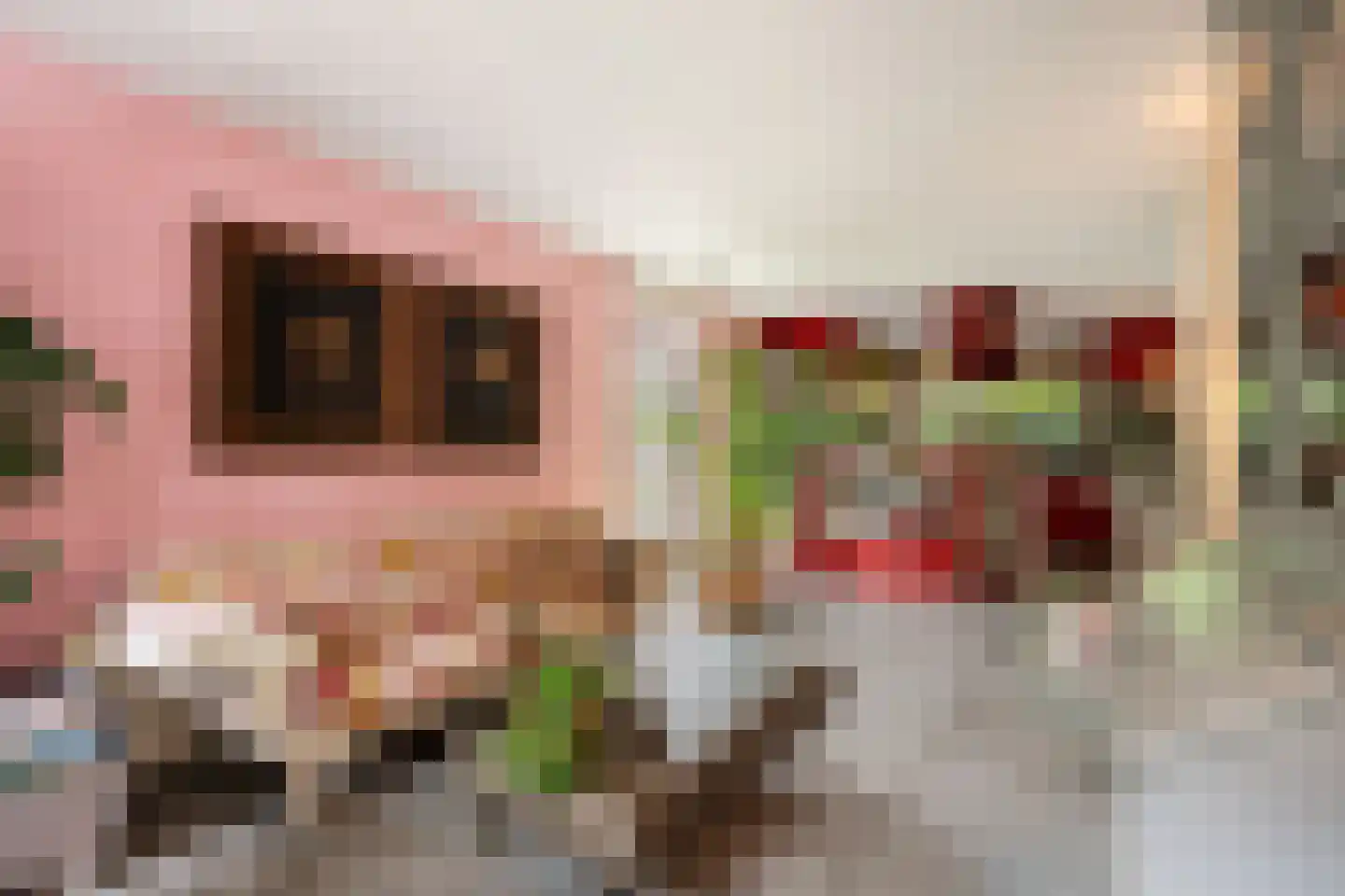 Burg Vogelaarsingel 17 Nieuwerkerk aan den IJssel thumbnail 15