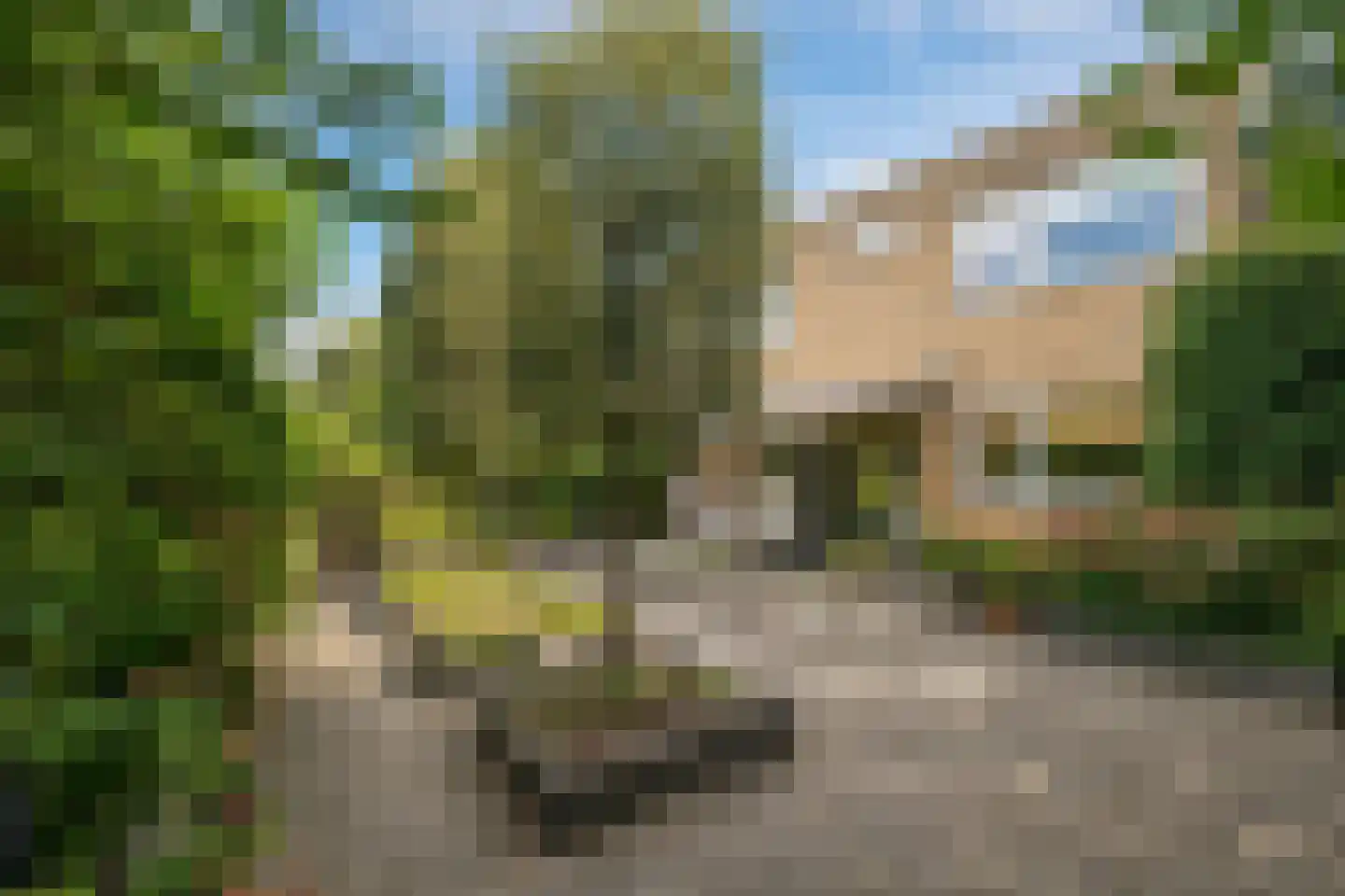 Burg Vogelaarsingel 17 Nieuwerkerk aan den IJssel thumbnail 4