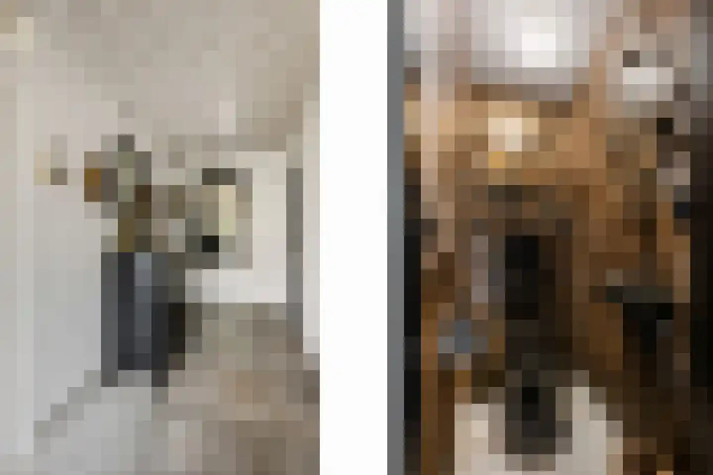Burg Vogelaarsingel 17 Nieuwerkerk aan den IJssel thumbnail 8