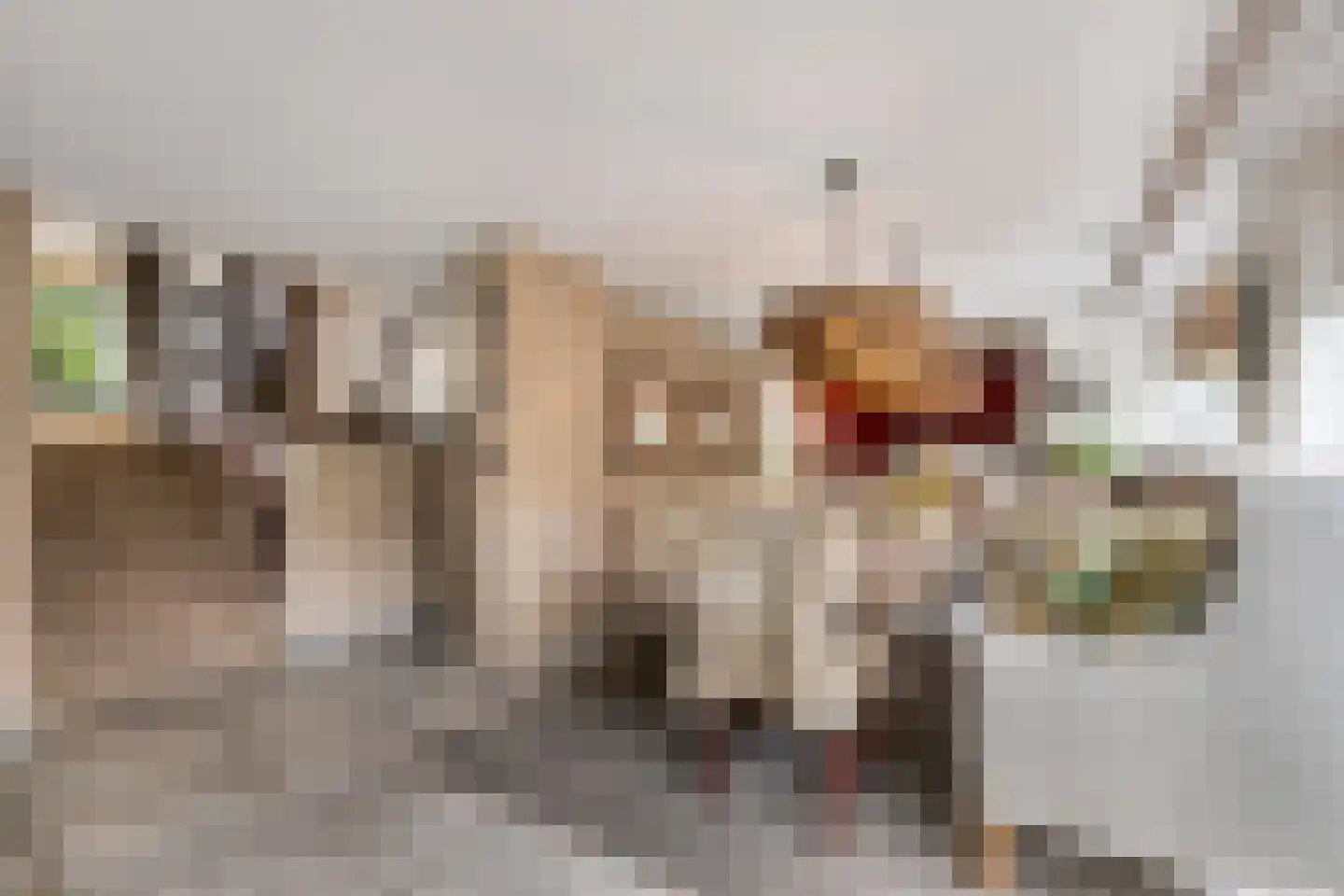 Burg Vogelaarsingel 17 Nieuwerkerk aan den IJssel thumbnail 9