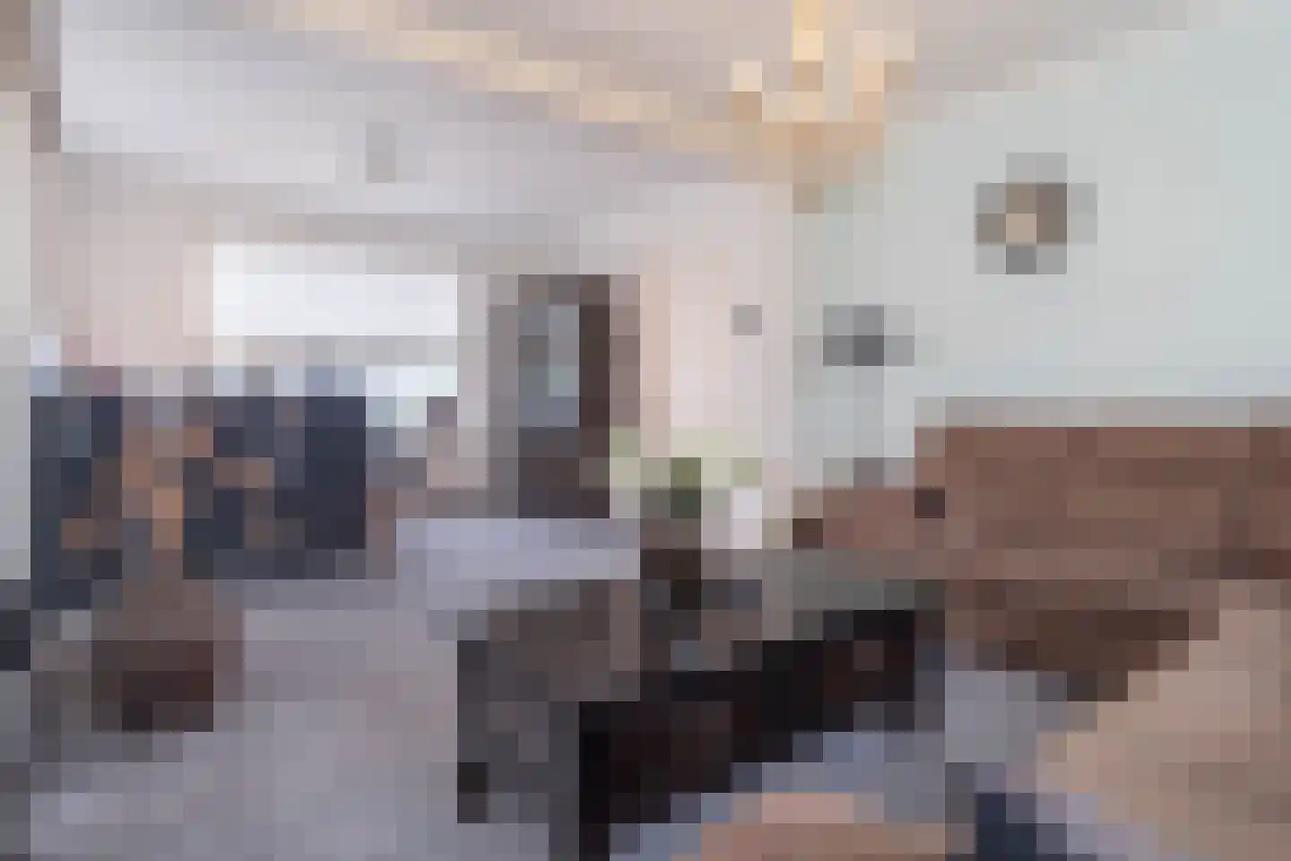 Burg Vogelaarstraat 1 Kruiningen thumbnail 9