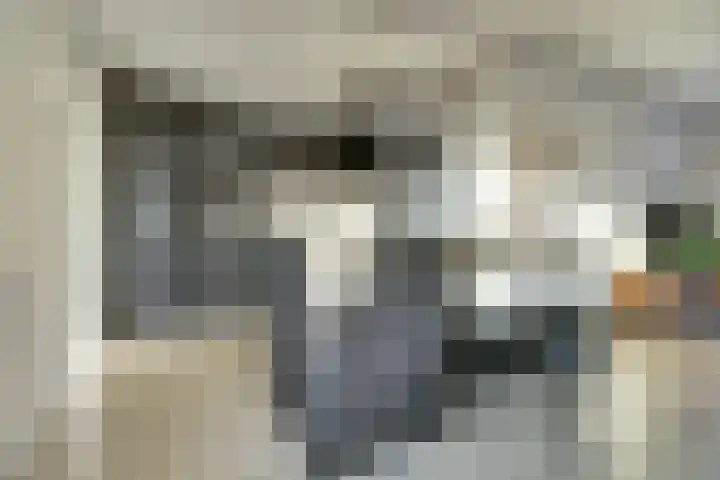 Burg Vogelaarstraat 13 Kruiningen thumbnail 8