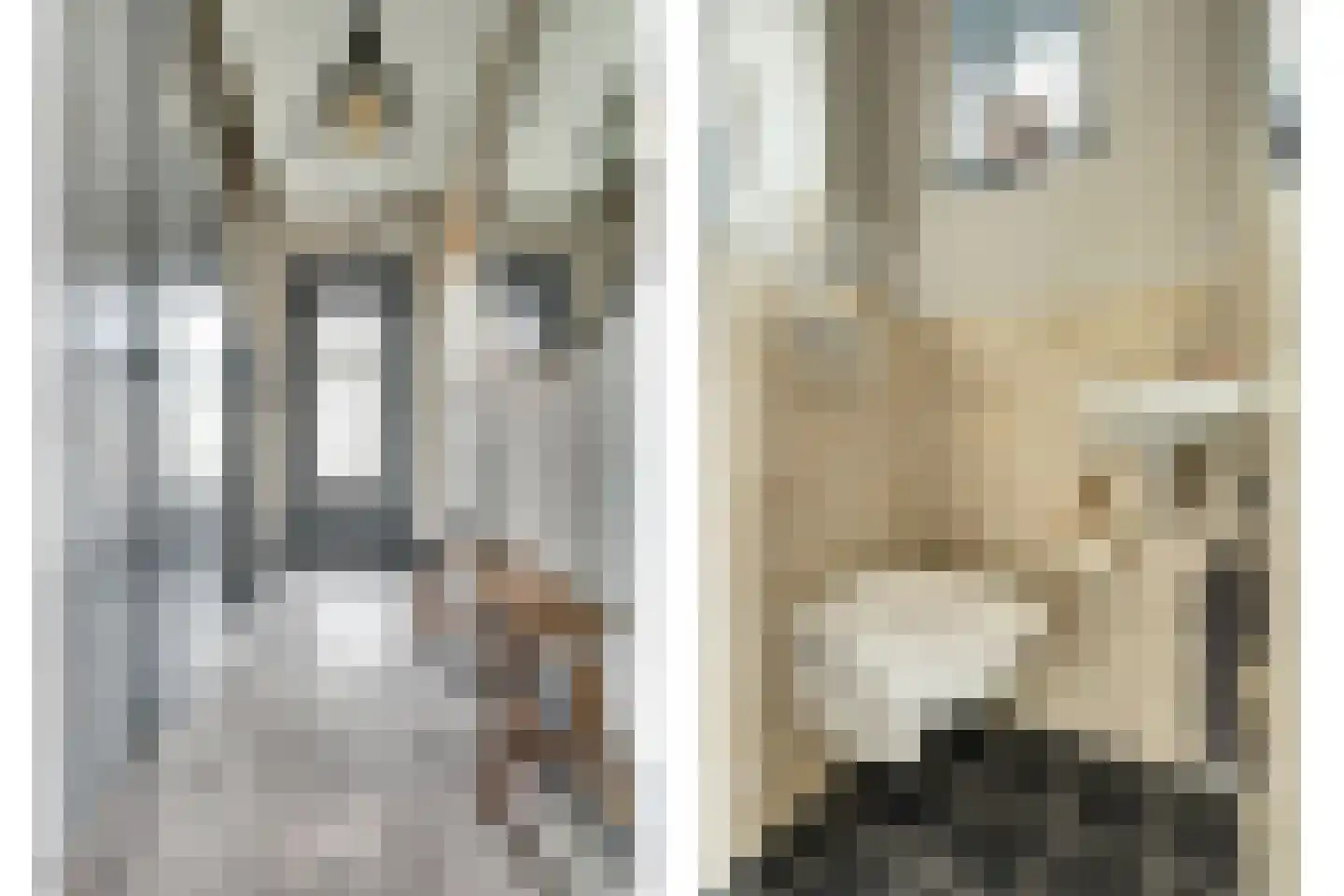 Burg Vogelaarstraat 27 Kruiningen thumbnail 5