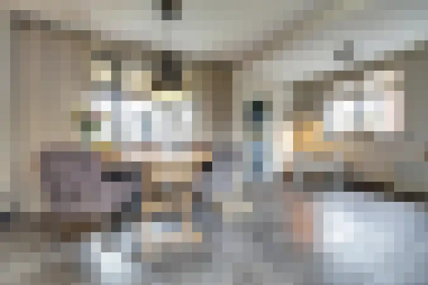 Burg Vogelaarstraat 27 Kruiningen thumbnail 9