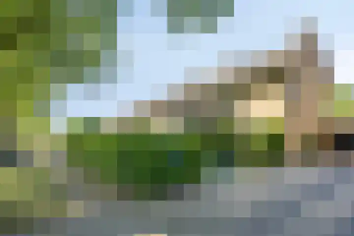 Burg. Vogelslaan 148 Oisterwijk thumbnail 32