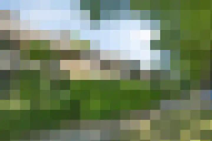 Burg. Vogelslaan 148 Oisterwijk thumbnail 34