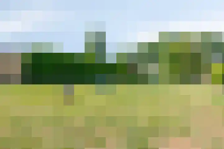 Burg. Vogelslaan 148 Oisterwijk thumbnail 35