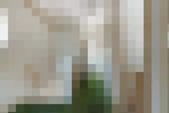 Burg. Vogelslaan 2 Oisterwijk thumbnail 15