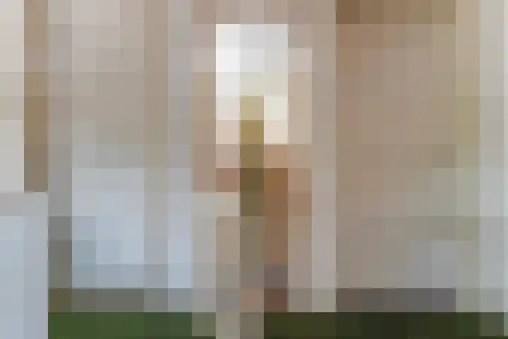Burg. Vogelslaan 2 Oisterwijk thumbnail 27