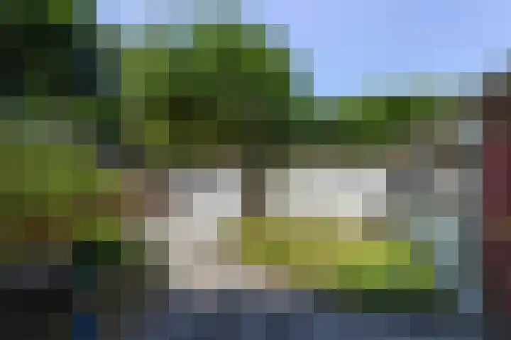 Burg. Vogelslaan 2 Oisterwijk thumbnail 33