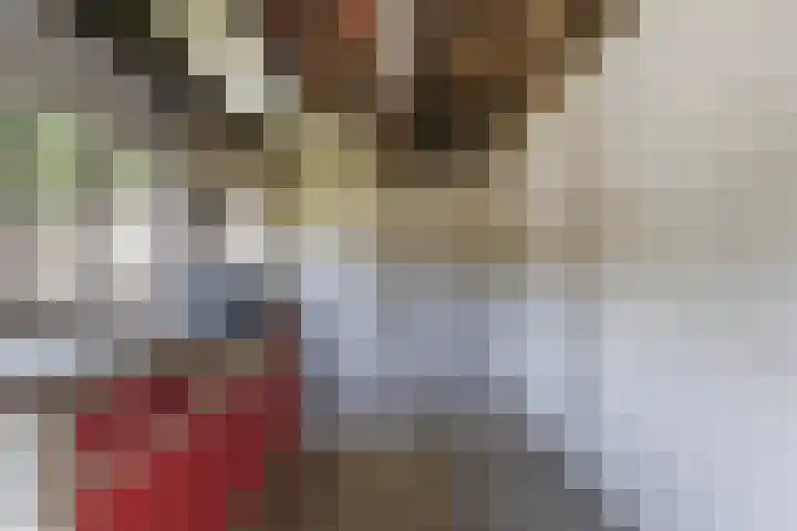 Burg. Vogelslaan 2 Oisterwijk thumbnail 35
